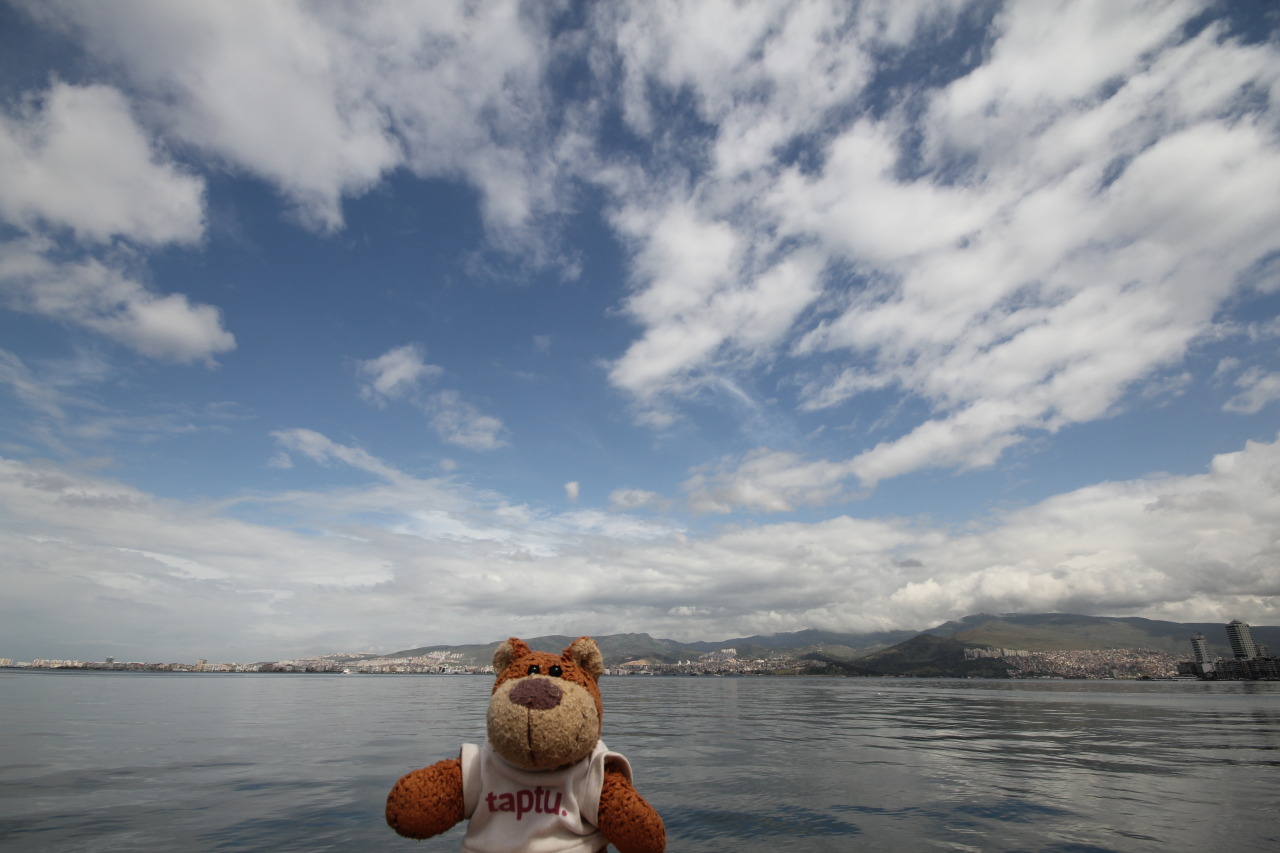 Es Izmir warm! A hilarious joke, Bearaptu.