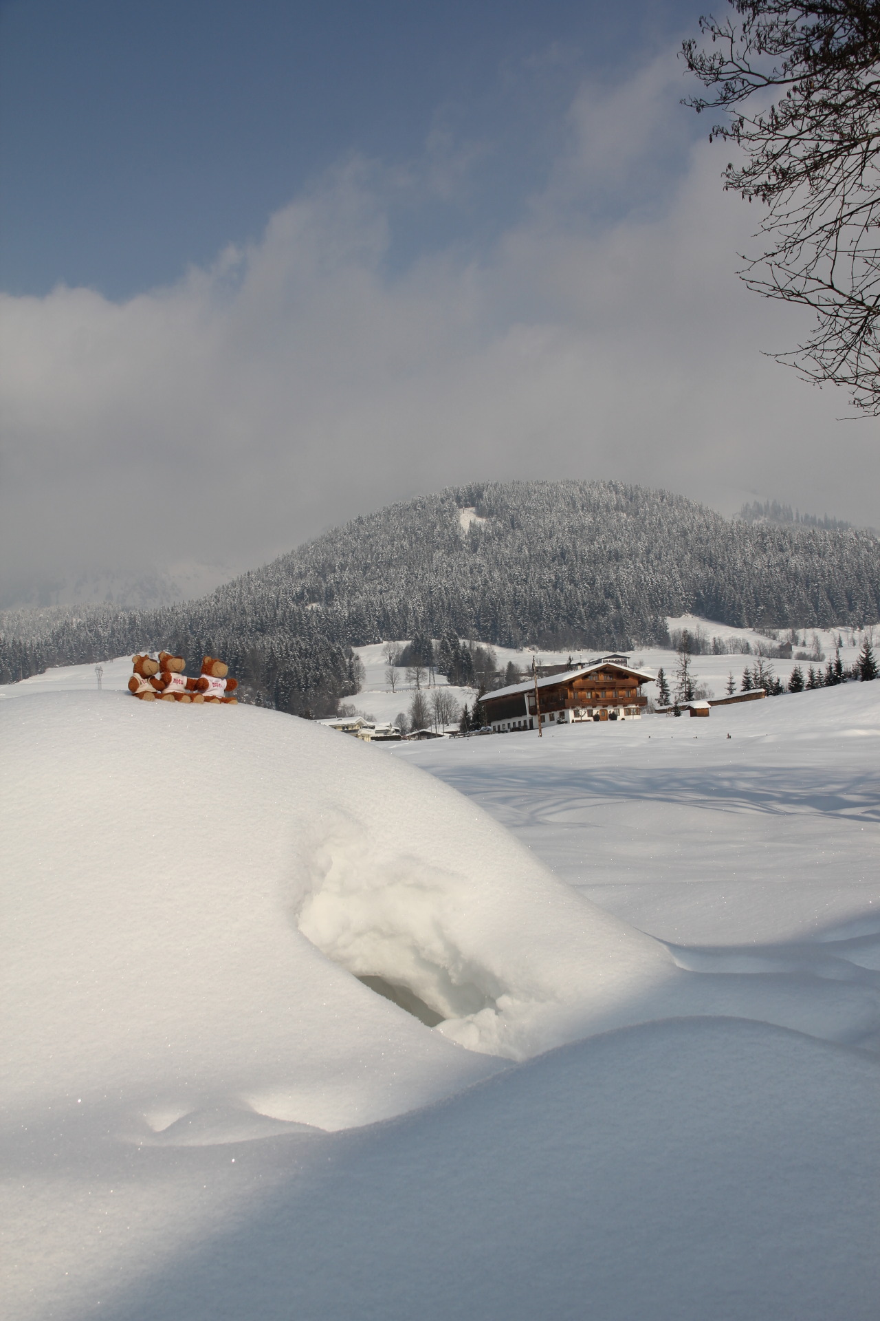 Bearaptu built an igloo in Tyrol, Austria, with a little help from his friends.