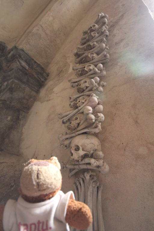 Bearapu observing some bones at Kutna Hora, where 40,000 people’s skeletons were used to create decorations in the lovingly nicknamed ‘Church of Bones’
