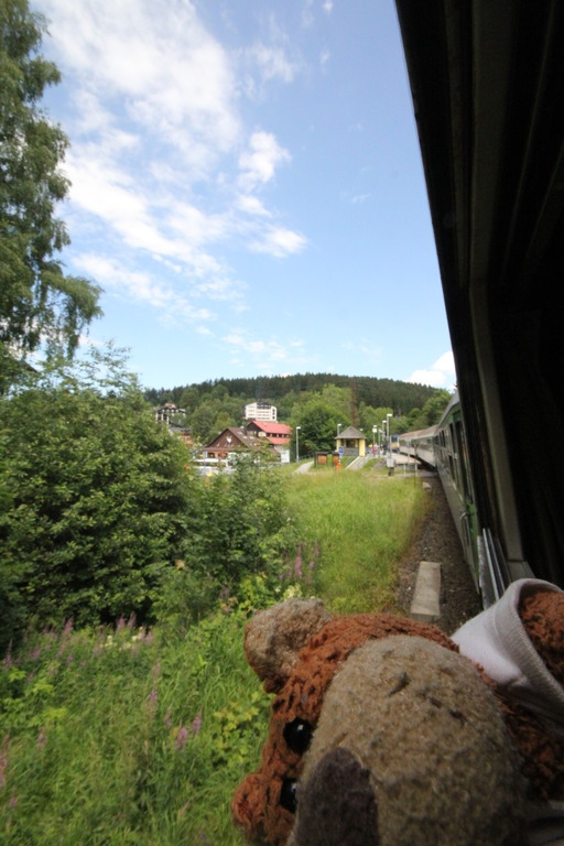 Bearaptu takes no heed of signs that say “Don’t lean out of the window”