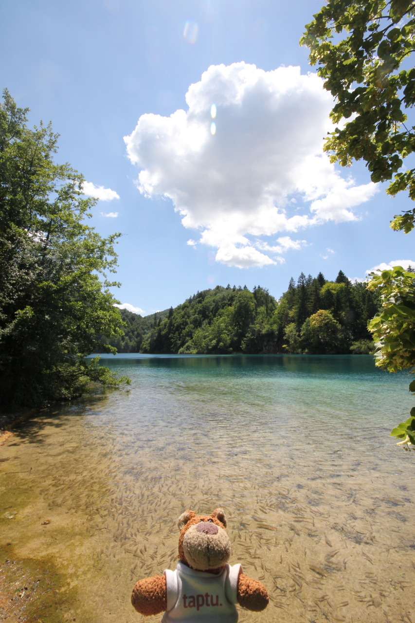 Bearaptu inspects the Plitvice Lakes before devouring lots of fish