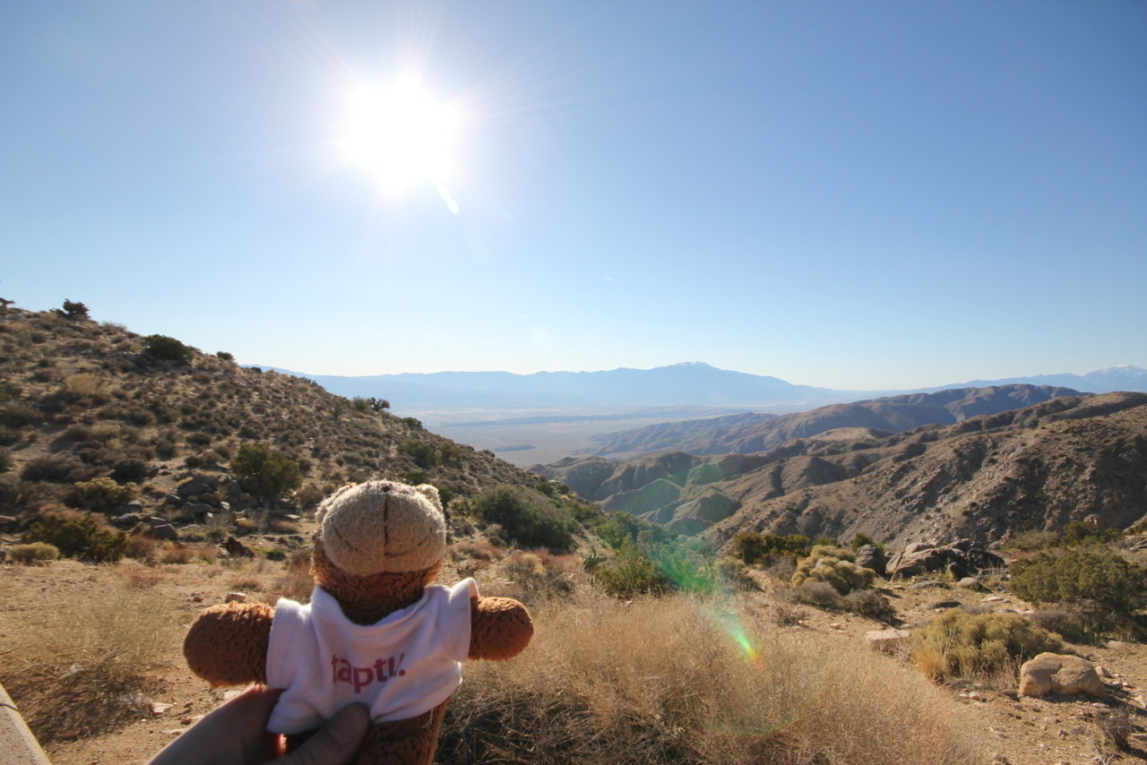 Bearaptu carefully observes the San Andreas fault. Carefully, because he didn’t want to roar and split Los Angeles in half.