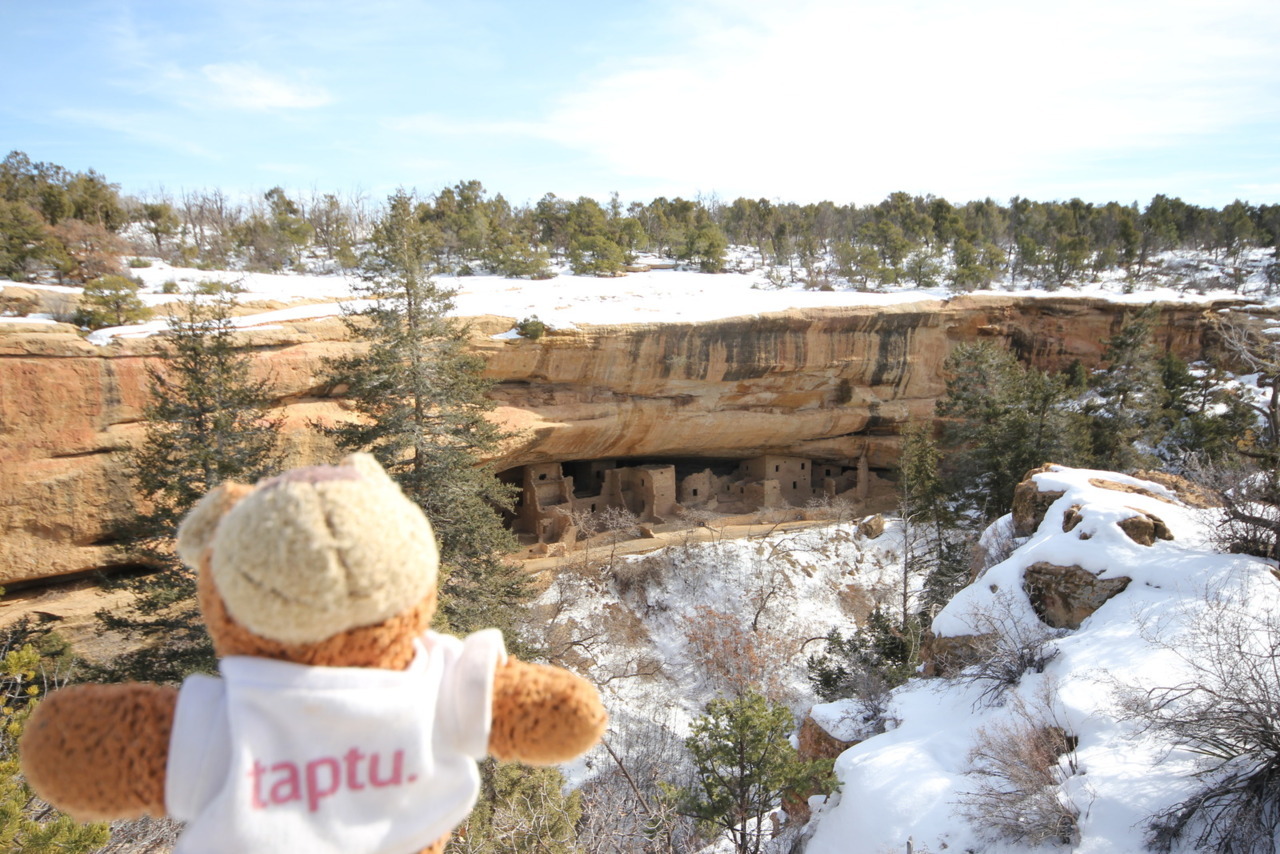 Bearaptu at Mesa Verde National Park, chilling wit the spirits of the Anasazi .