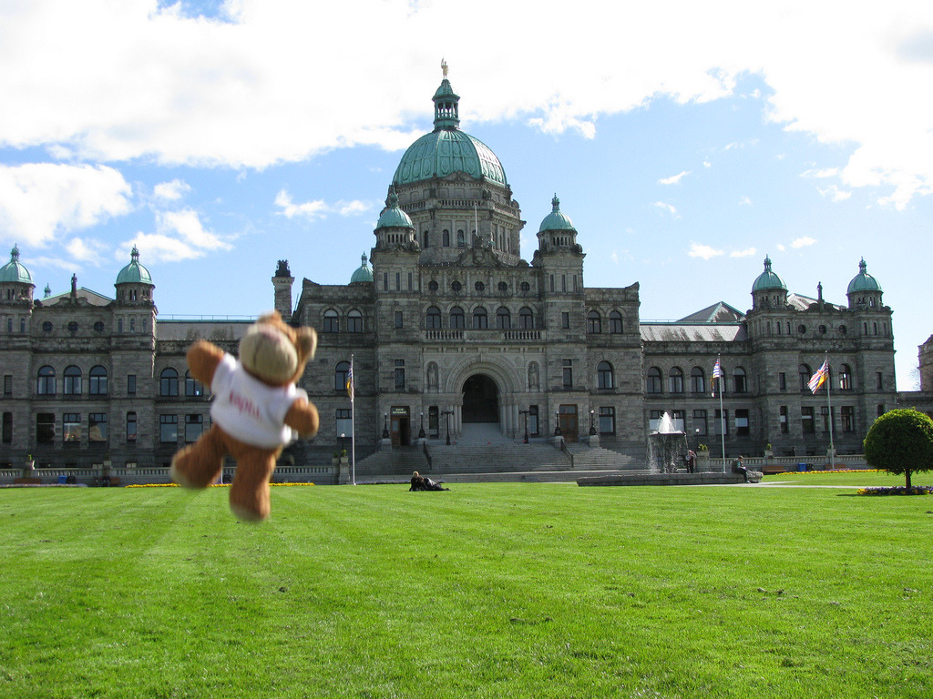 Bearaptu at BC Parliament, Victoria Interestingly, Bearaptu can fly.